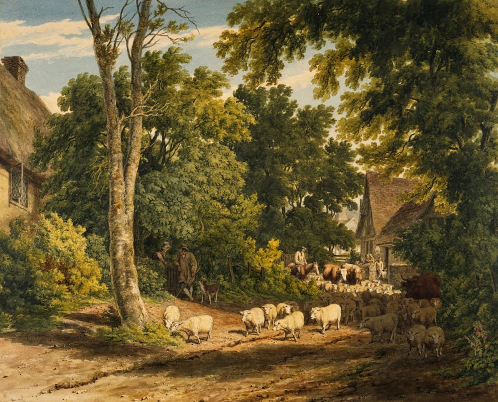 Visuel d’illustration pour Le bol des saisons